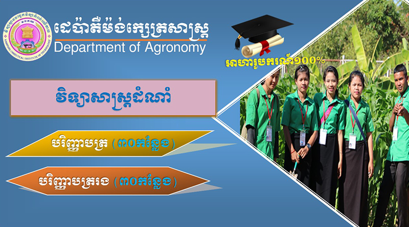 Plant of agronomy at KCIT in Cambodia